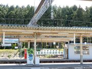 坊ちゃんさんの日本最古の鉄道防雪原林の投稿写真1