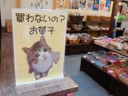 坊ちゃんさんのスパハウスろっかぽっかの投稿写真2