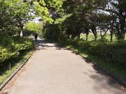 こんぱらさんの万場調整池の投稿写真1