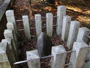 Yanwenliさんの甲良神社の投稿写真5