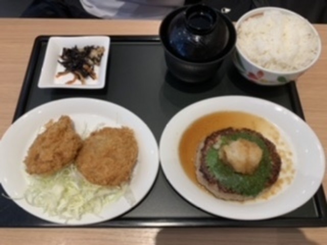 おろしハンバーグとヒレカツ定食_デニーズ南砂店