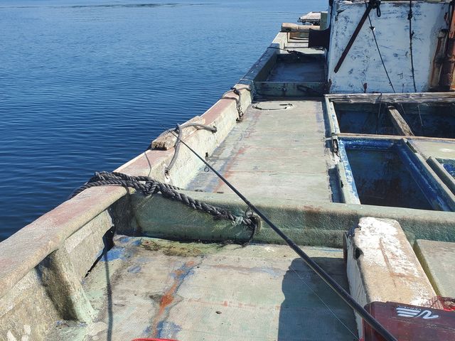 私一人貸し切り状態_日本海水産