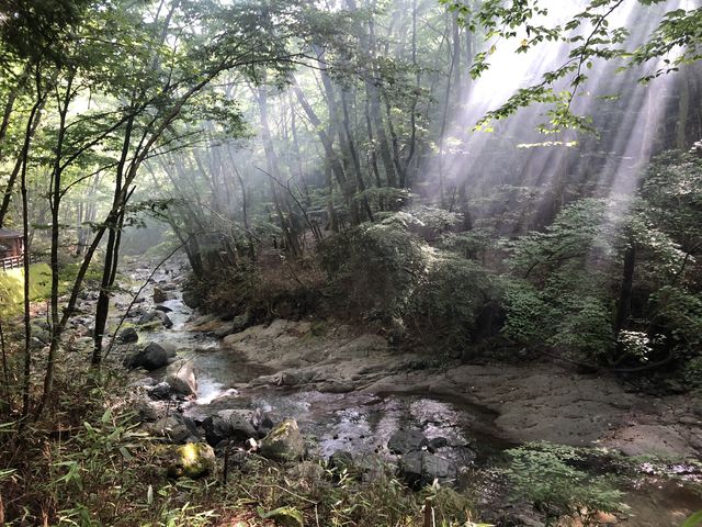 目の前に綺麗な小川が流れていました。_モモンガの森