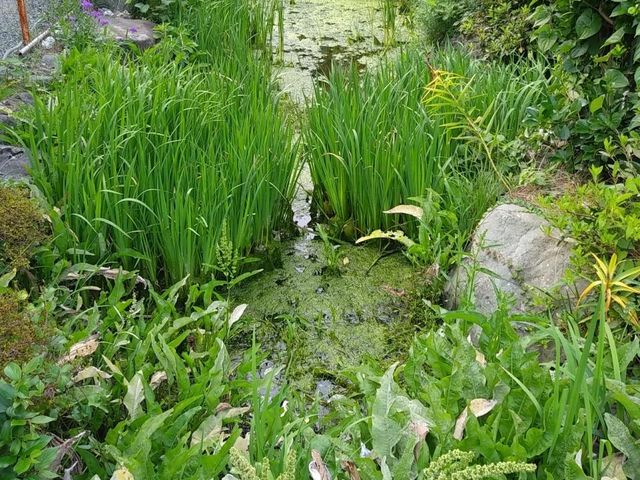 血洗い池_九鬼嘉隆の胴塚と首塚