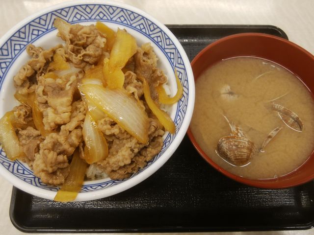 ワクワクさせてくれる美味しそうな見た目です。もちろん実際に美味しかったです。_吉野家西葛西駅一番街店