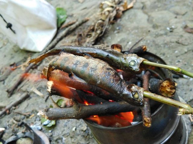 支流は本当に水が澄んできれいなため、臭みが全くない。_特定非営利活動法人 しもかわ観光協会