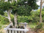 〇茂さんの九鬼嘉隆の胴塚と首塚の投稿写真6