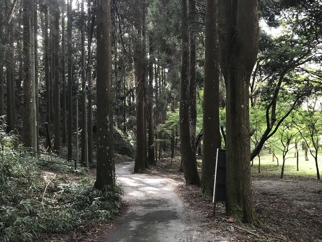 道幅です。_長野幸水園