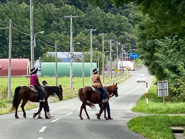 ひととおり馬のたづなの扱い方を園内で教えてもらったら、散歩コースへ行きました。_フラノトレッキングサポート遊馬