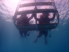 yoyoさんのDIVING SHOP RYAAANへの投稿写真1