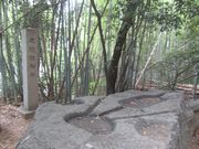 鶴亀松竹梅扇さんの酒船石の投稿写真1