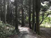 コーヒーさんの長野幸水園の投稿写真2