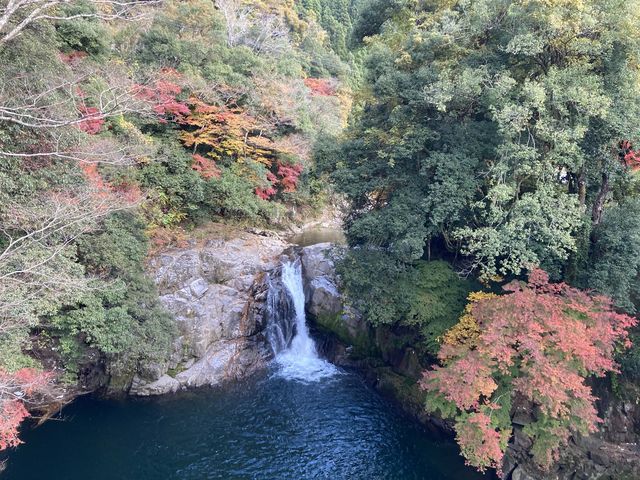 滝見橋の上から見た紅葉の中の滝_押川大滝