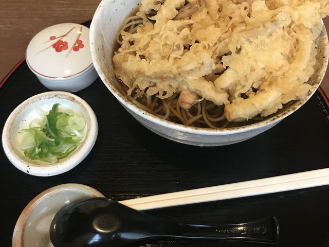 かき揚げ蕎麦_手打ちそばの まめひな