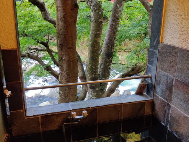 塔の沢 一の湯本館