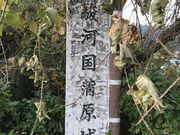 Shotaさんの蒲原城址の投稿写真1