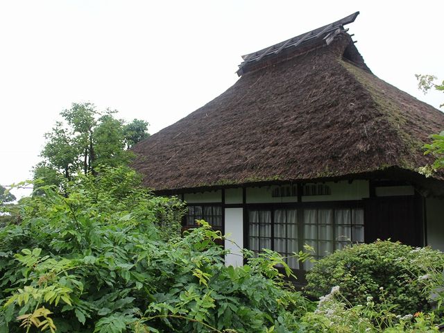 Yanwenliさんの柿蔭山房の投稿写真3