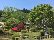 imoheiさんの志波彦神社の投稿写真1