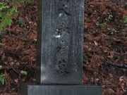 Yanwenliさんの島木赤彦の墓の投稿写真1