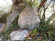 こぼらさんの野口雨情 詩の細道の投稿写真2