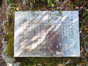 こぼらさんの野口雨情 詩の細道の投稿写真3