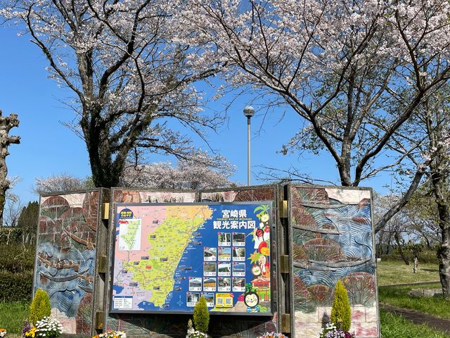 桜の開花_宮崎自動車道霧島レストラン上り線