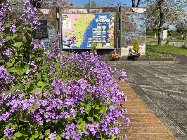 春の訪れ_宮崎自動車道霧島レストラン上り線