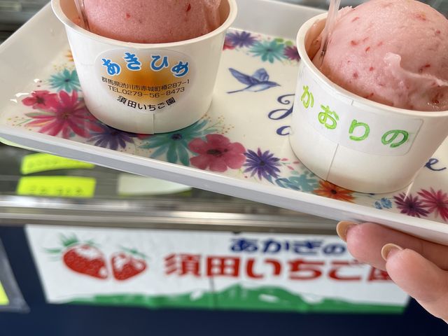 手作りアイスは美味しかったです!_須田いちご園