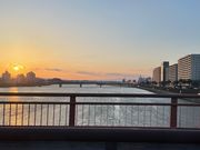 さっちゃんさんの橘公園の投稿写真1