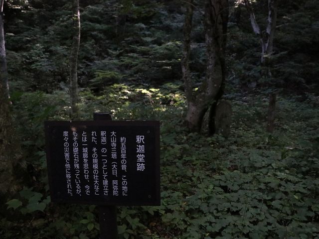 釈迦堂跡。_廃寺跡