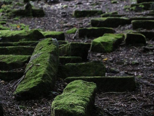 石材が転がっていました。_廃寺跡