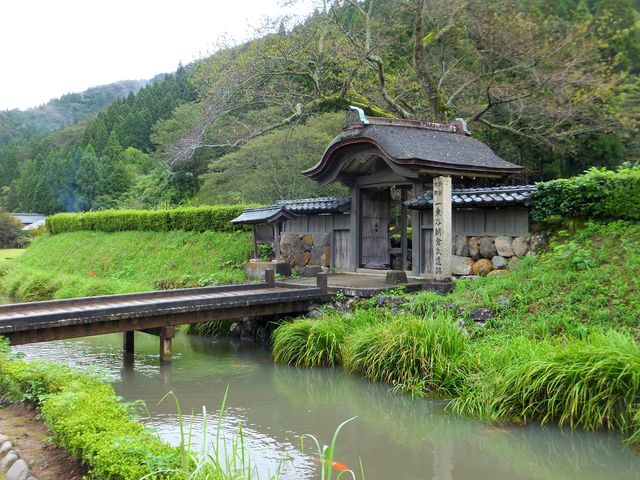 緑鮮やかな土塁に囲まれた西門_一乗谷朝倉氏遺跡