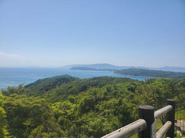山頂まで走り絶景を見れました。_加太バギー