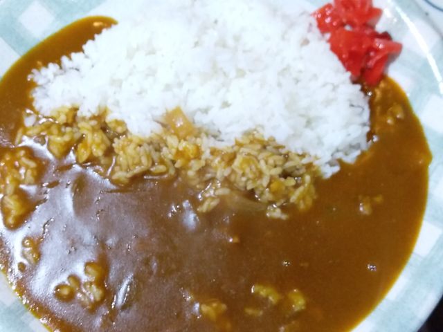 カレー(中)・400円_白楽天