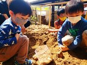 のぶちゃんさんのたつのみんなの昆虫館の投稿写真7