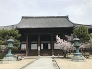 みんちかつさんの百萬遍知恩寺の投稿写真1