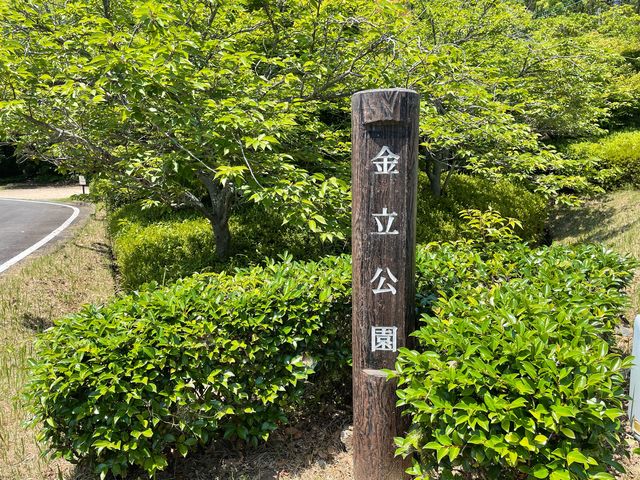 金立公園_金立公園