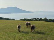 erwtensoepさんの中瀬草原の投稿写真1