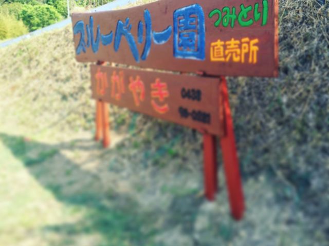 目印の看板_ブルーベリー園 かがやき