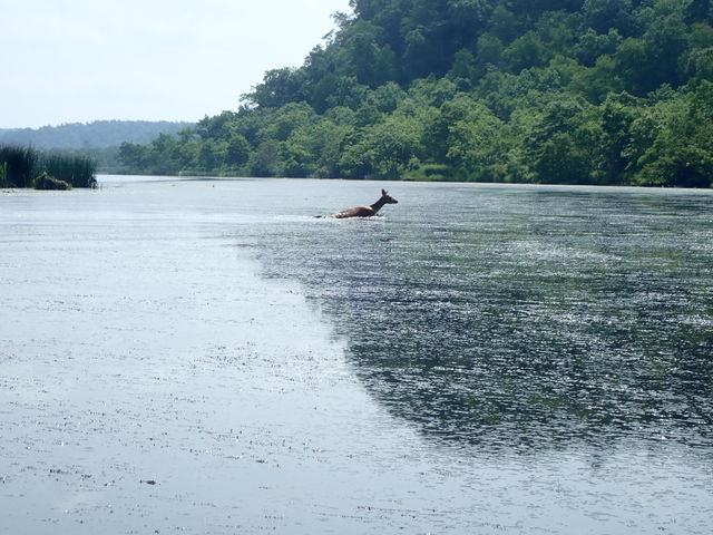マイBOOさんの別寒辺牛湿原の投稿写真1