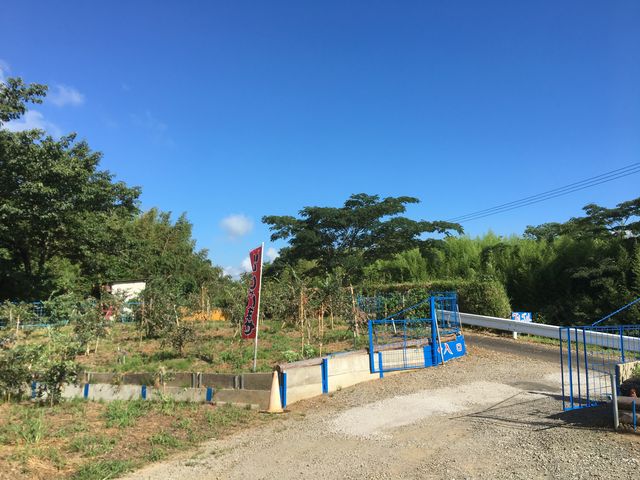 駐車場もありました!_ブルーベリー園 かがやき