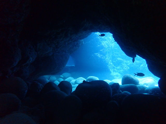 地形も有り_石垣島ダイビングショップ FunSea【ファンシー】石垣島