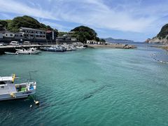 かえるさんの柏島ダイビングサービス Smiley Diveへの投稿写真1