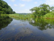 マイBOOさんの別寒辺牛湿原の投稿写真1