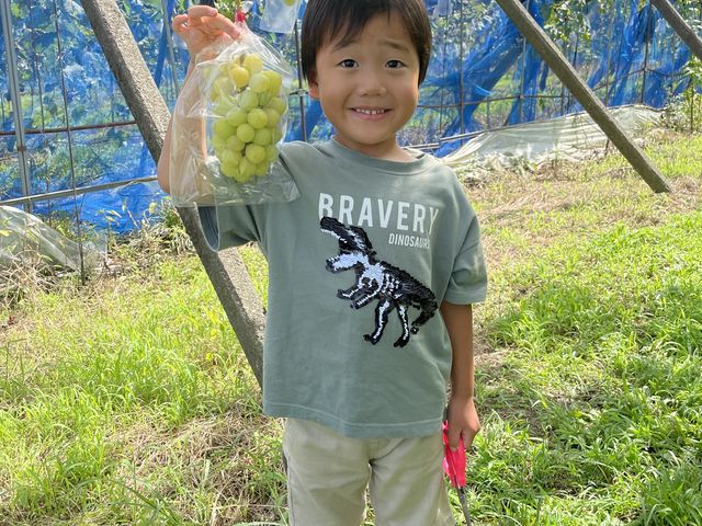 大好きなシャインマスカットを収穫できました。_森田ぶどう園
