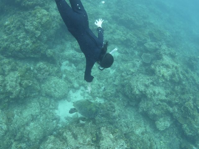 素潜りも上達_屋久島ガイドクラブ