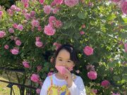 かずさんの北九州市立響灘緑地 グリーンパークの投稿写真1