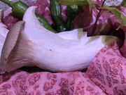 takayuking505さんのたか寿司の投稿写真2