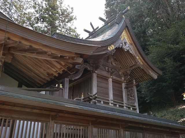 本殿。_若宮神社