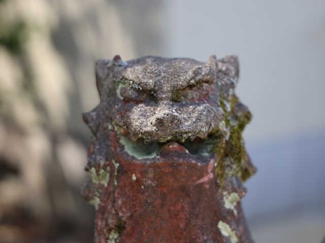 摂社の狛犬。_若宮神社